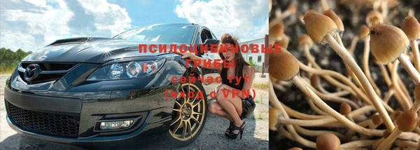 индика Алзамай
