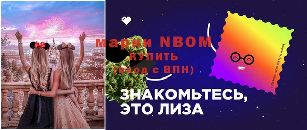 индика Алзамай