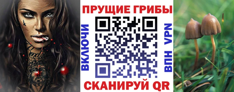 ОМГ ОМГ ТОР  как найти закладки  Новоуральск  Псилоцибиновые грибы прущие грибы 